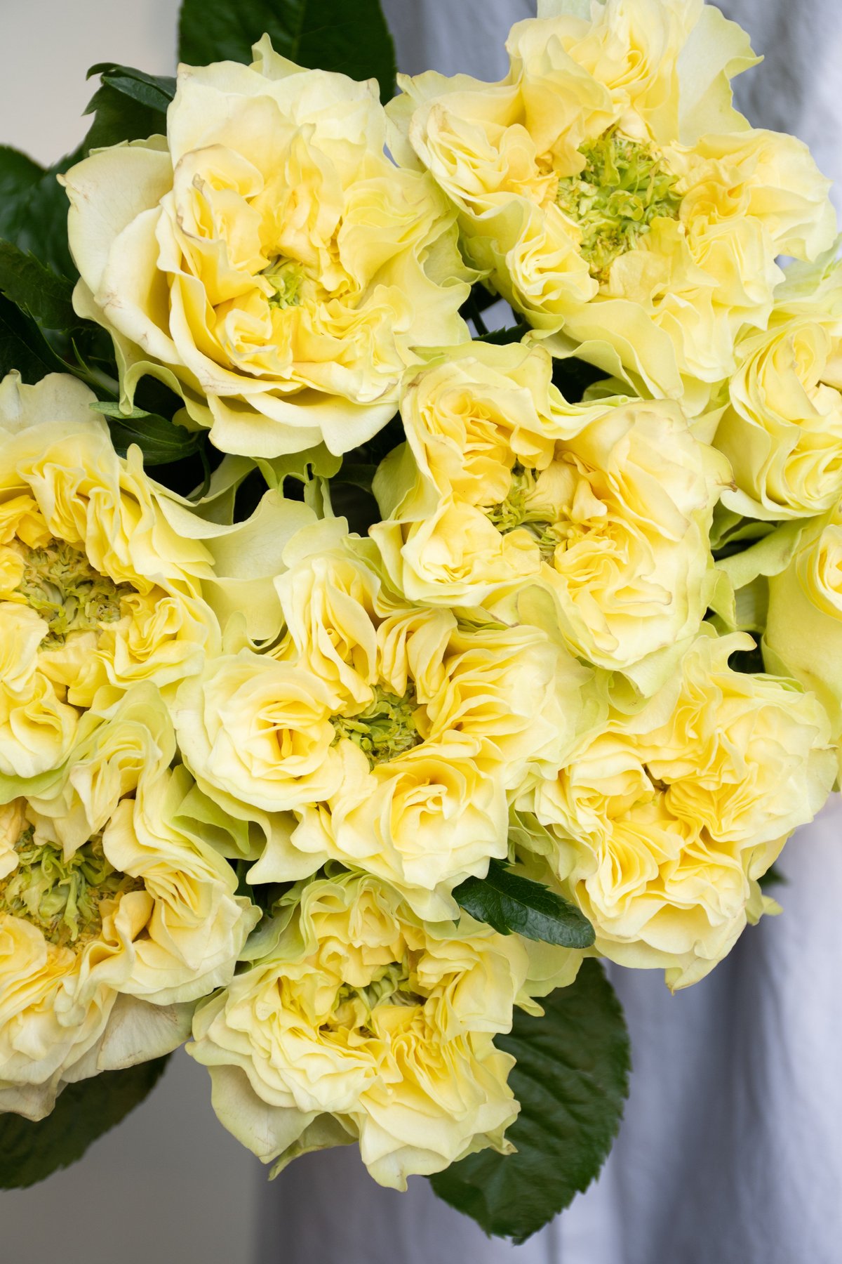 ★再入荷★【レモンボトル】LEMONBOTTLE 5本セット◆バラ・まとめ◎ レモンボトル】<br>Lemon Bottle Ampoule Solution 1箱（10ml