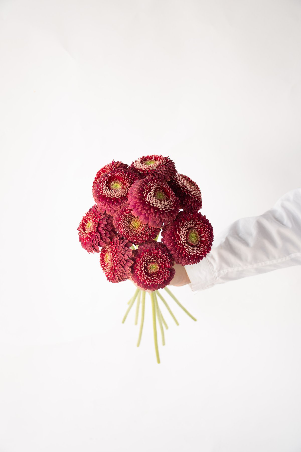 花*花専用ページ fit=scale-down,w=1200