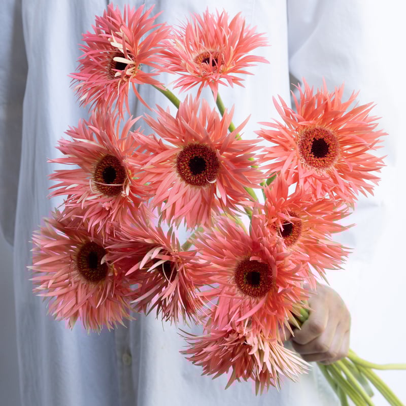 【専用】お花カービングとローゼンジ 専用】お花カービングとローゼンジ レア】アパッチパイライト