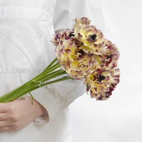 tokyo_shokubutsu_zufu