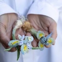 feltico×東京植物図譜「アイリスのブローチ＋球根ミックス」