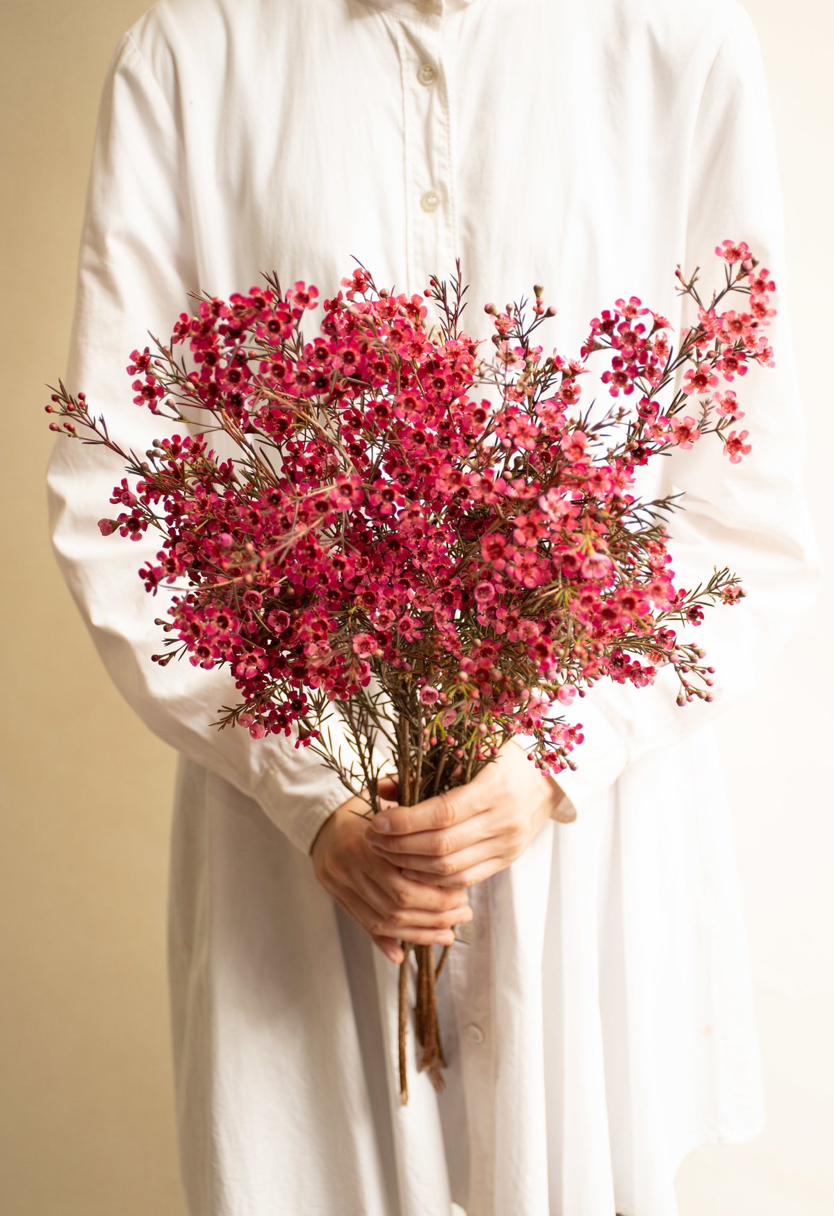 布花作品♡アンティークワックスフラワー ワックスフラワー | STORES