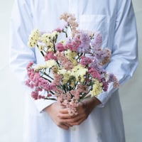 ドライフラワー❇️スターチス ソロモン❣️ ドライフラワー「スターチス」 | tokyo_shokubutsu_zufu