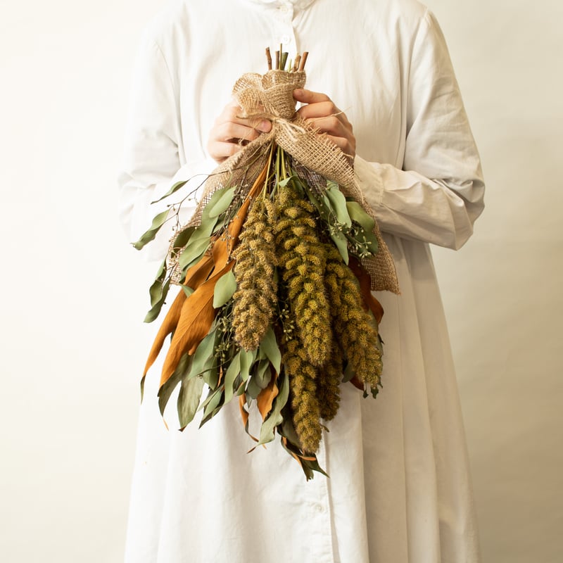 ドライフラワー「ユーカリポポラス 」 | tokyo_shokubutsu_zufu