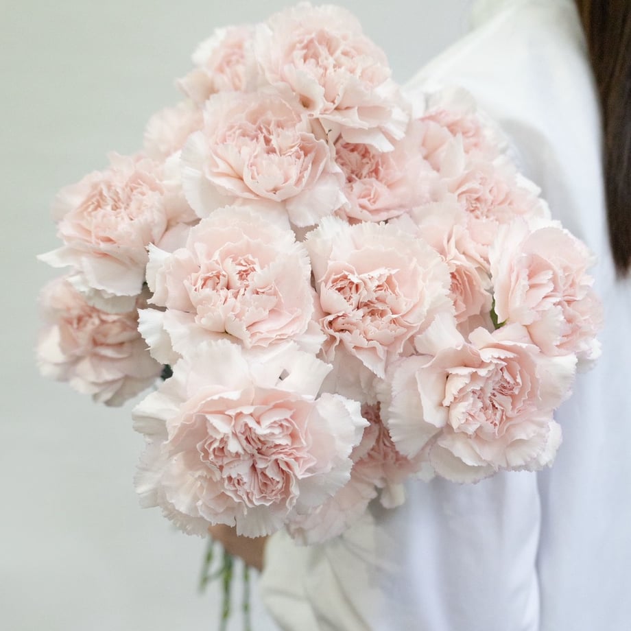 69e19aedb4982d21d43a3eeb