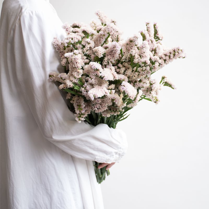 ドライフラワー❇️スターチス ソロモン❣️ ドライフラワー❇️スターチス ソロモン❣️ - メルカリ