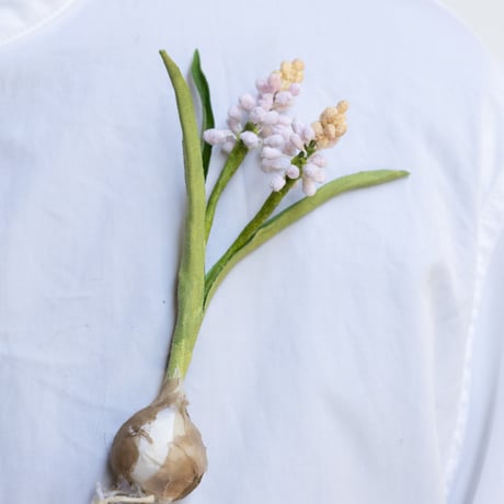 feltico×東京植物図譜「ムスカリのブローチ＋球根ミックス」
