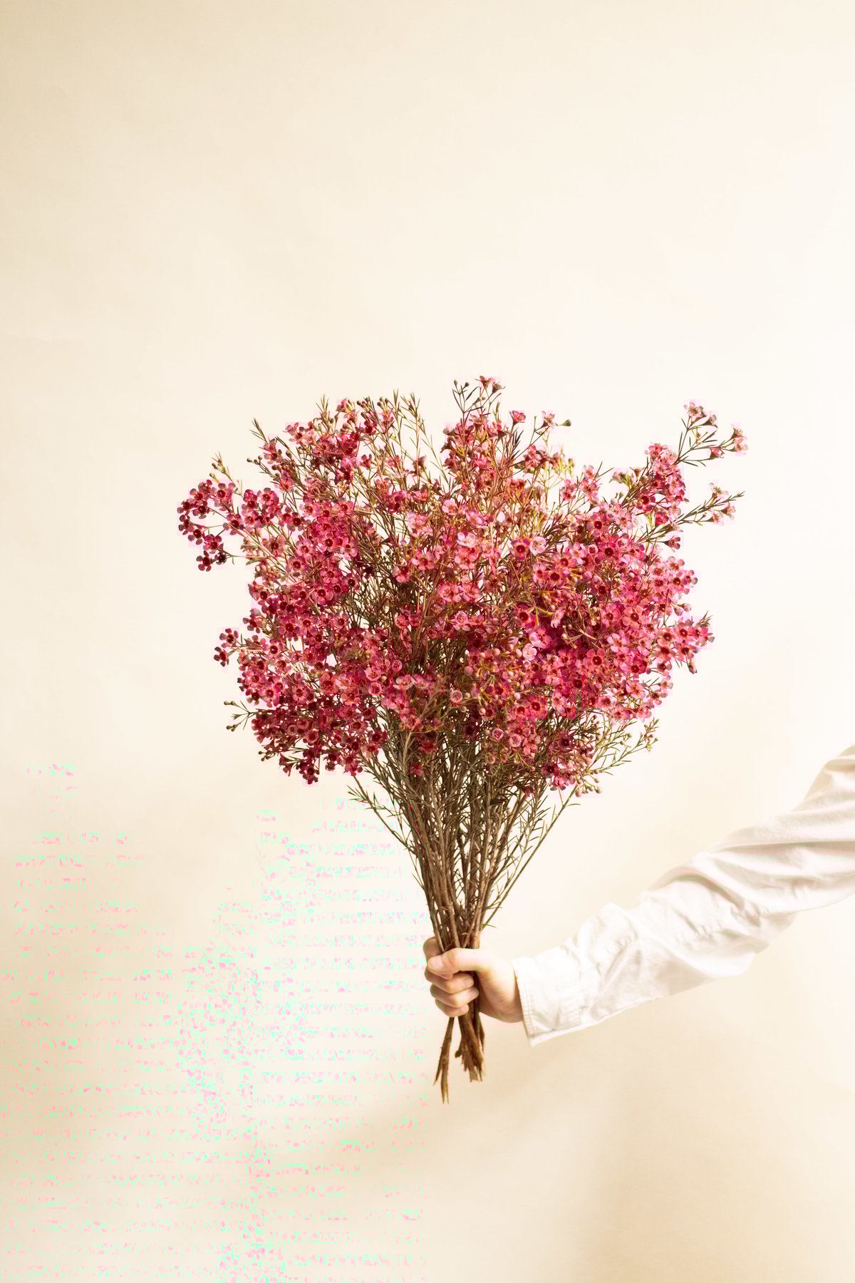 布花作品♡アンティークワックスフラワー ワックスフラワー | STORES