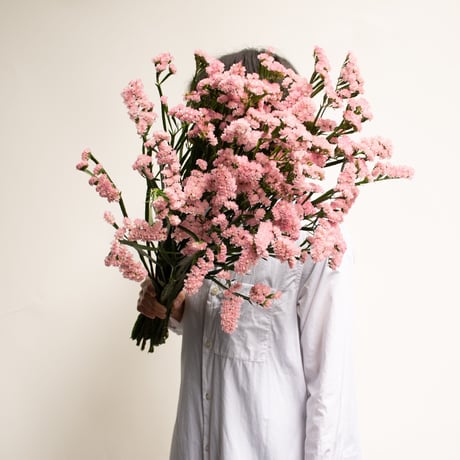 CATEGORY スターチス | tokyo_shokubutsu_zufu