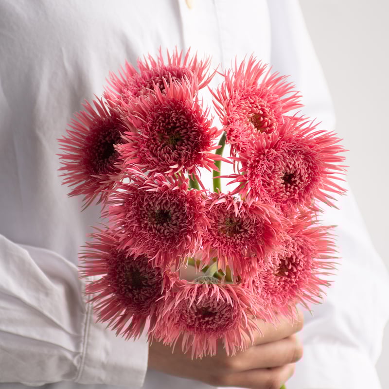 ミャンマー産ルビー お花と果実のカービング 産地直送 ガーベラ・ジニア花束 ピンク ／千葉 金井園芸からお届け