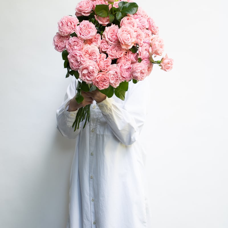 バラ「ジェントルフロウ」 | tokyo_shokubutsu_zufu