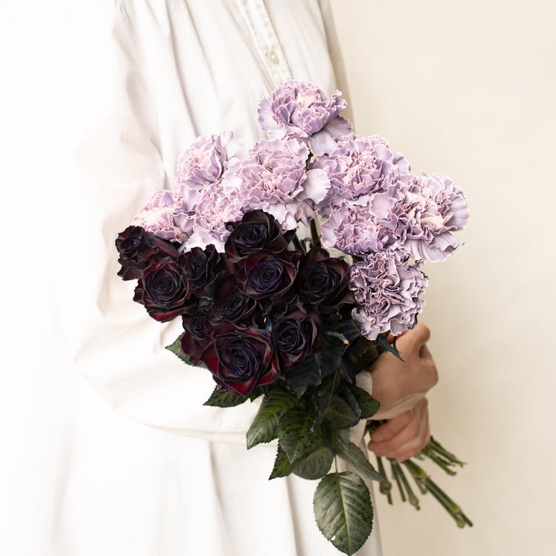 バラ「アマダブラック」 | tokyo_shokubutsu_zufu