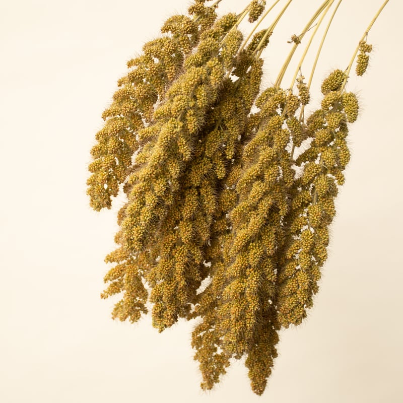 あゆたんさま❀おまとめ❀ドライフラワー こんにちは😃 ばるしゅふらわーです💐 ドライフラワーボードを3