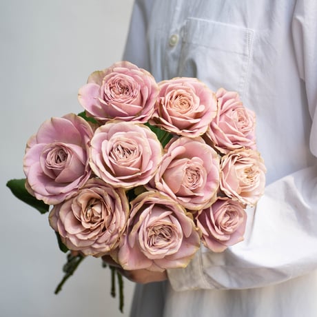 CATEGORY バラ | tokyo_shokubutsu_zufu