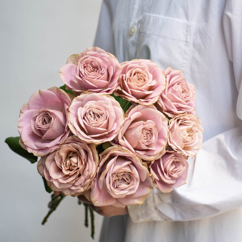 バラ 堀木園芸「オールウェイズオンユアサイド」 | tokyo_shokubutsu_zufu