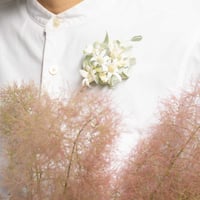 feltico×東京植物図譜「フランネルフラワーのブローチとスモークツリー」