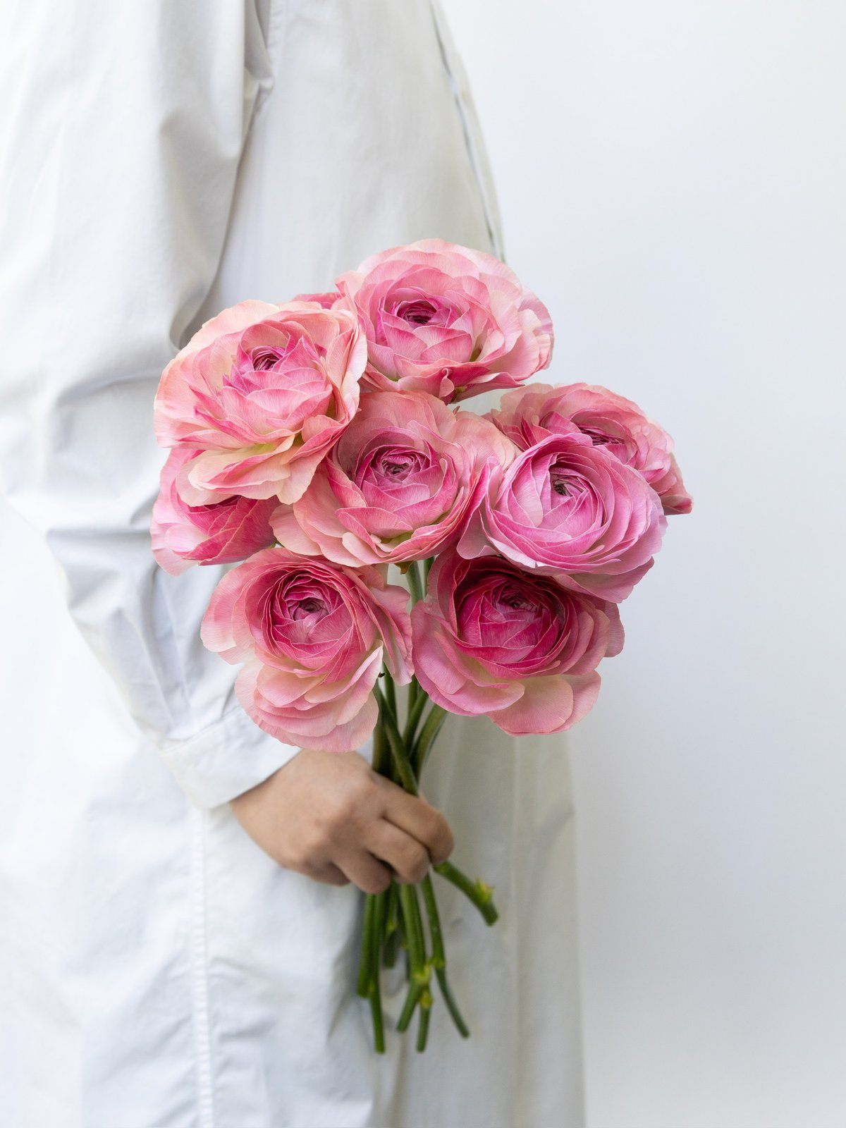 クリーム色 ラナンキュラス アートフラワー　34せたット クリーム色 ラナンキュラス アートフラワー 34せたット│tabi-station