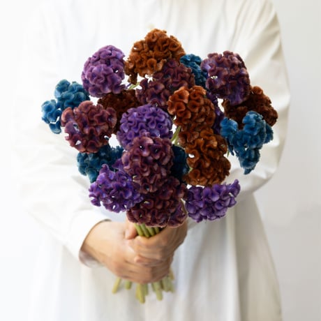 tokyo_shokubutsu_zufu