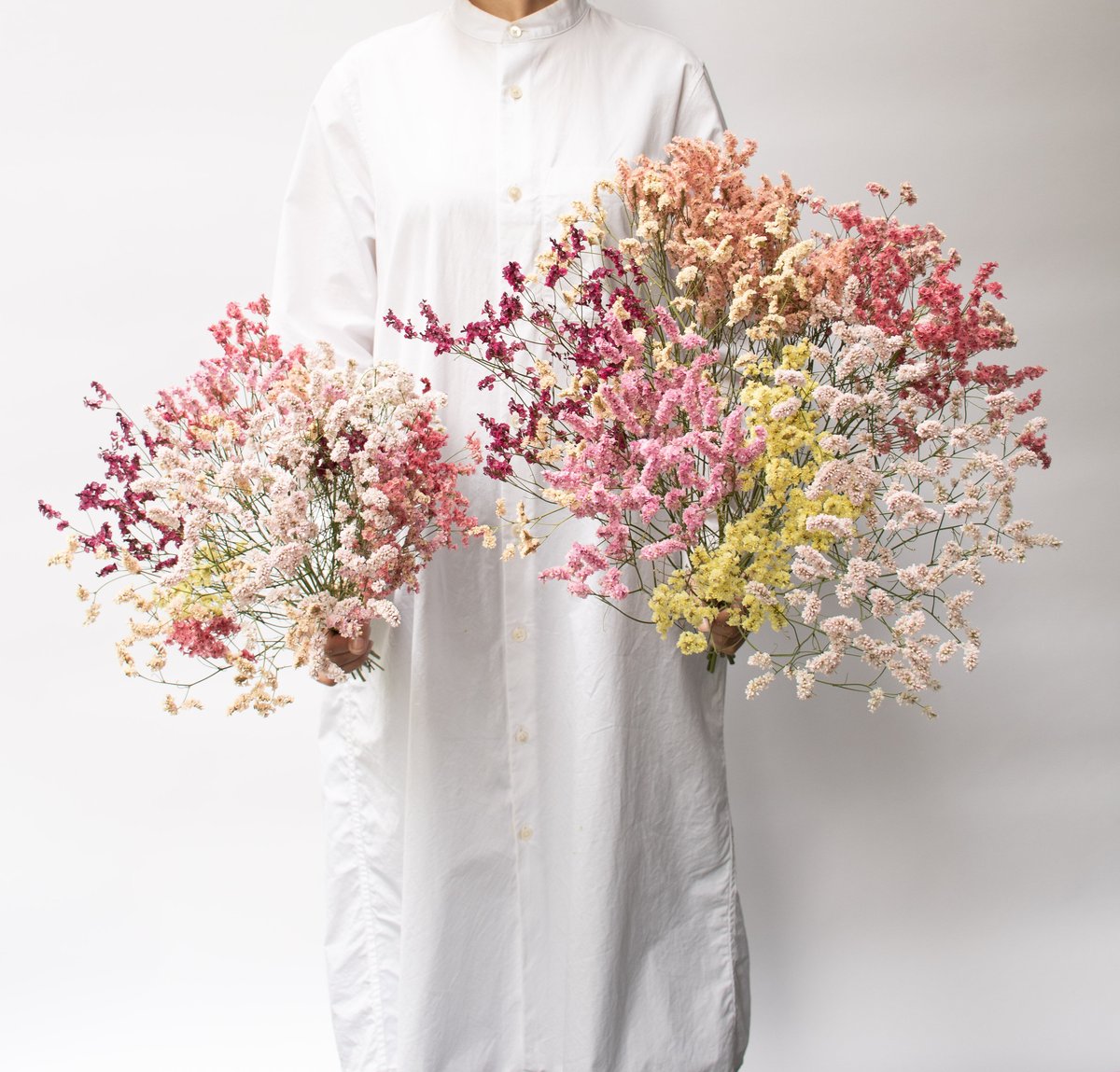 ドライフラワー❇️プルモサム❣️ fit=scale-down,w=1200