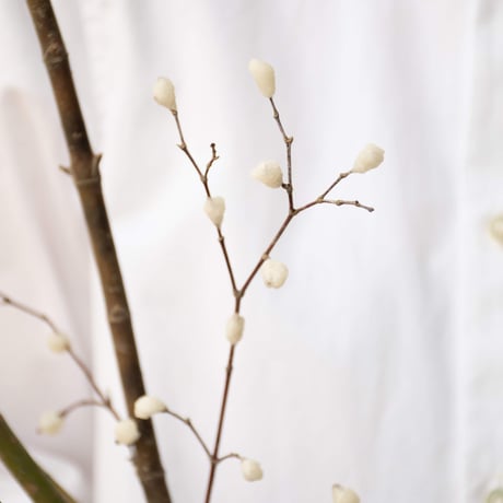 花餅「なみだ」