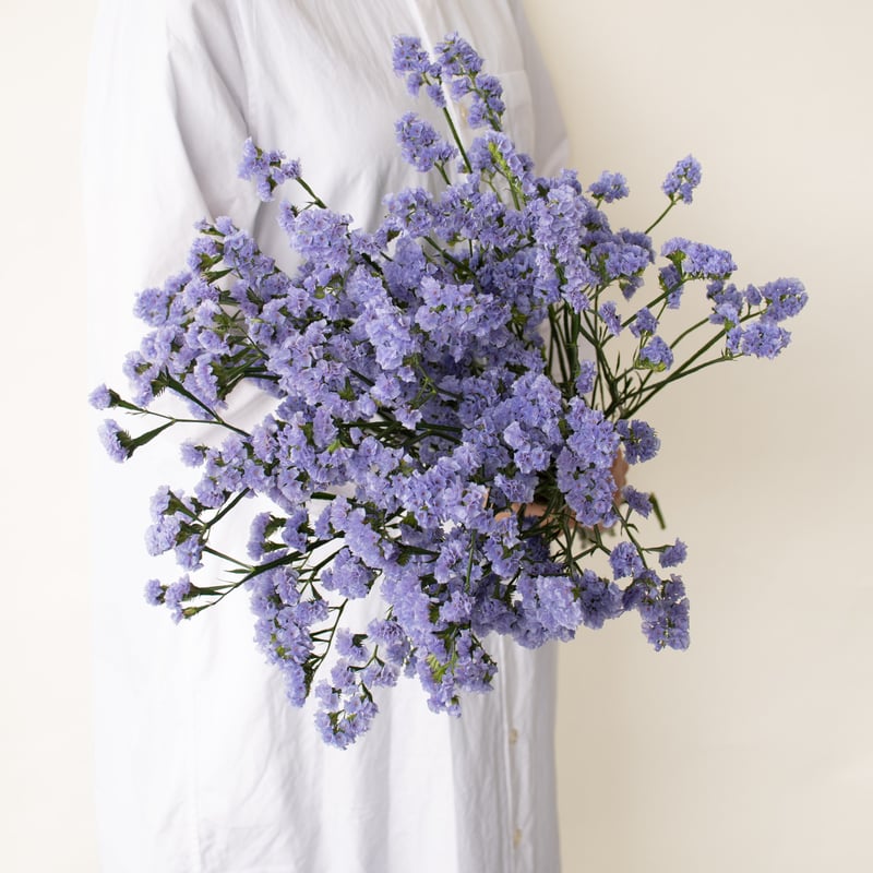 エリンジウムと紫陽花のパープル2Wayガーランド　スターチス　ユーカリ　貝細工 エリンジウムと紫陽花のパープル2Wayガーランド スターチス