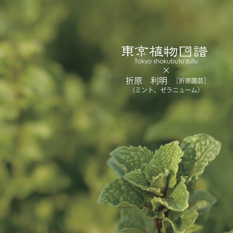冊子版 東京植物図譜 5冊セット(2012.4~2017.3)
