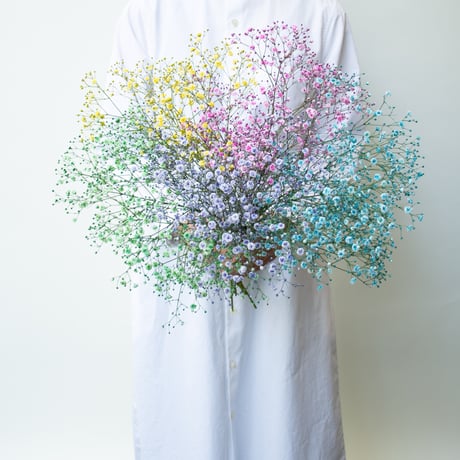 かすみ草「染め5色ミックス」