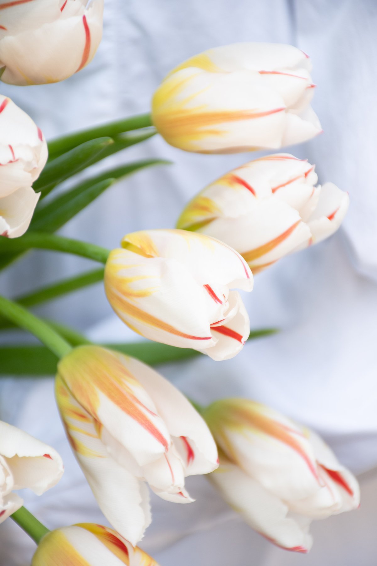 fit=scale-down,w=1200