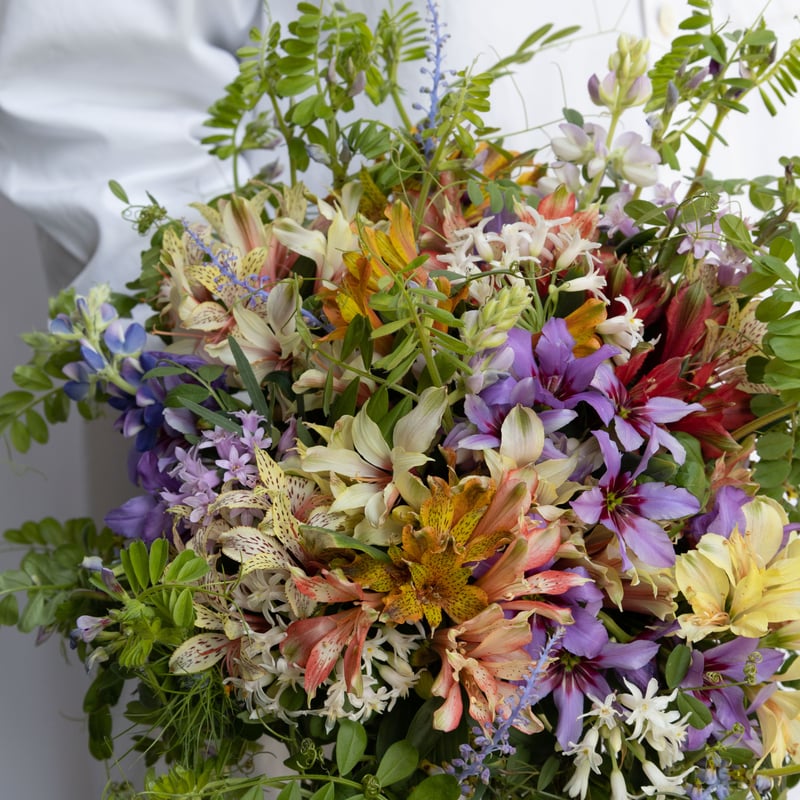 三宅さんの「アルストロミックス」 | tokyo_shokubutsu_zufu