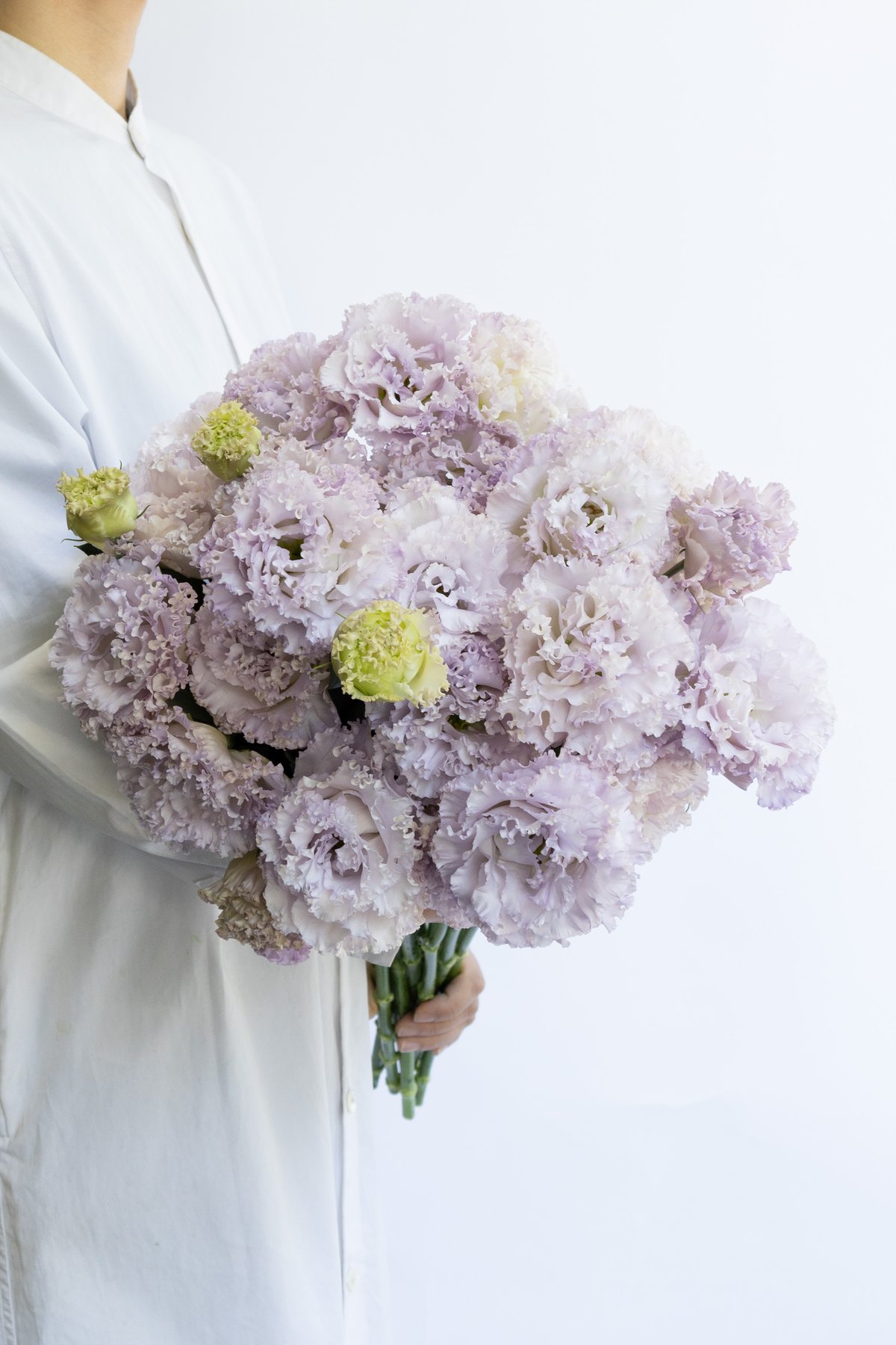 ちえさんトルコキキョウ　トルコギキョウ苗　ソーダ取り置き 楽天市場】【花のプラセル🄬】選べるトルコキキョウ