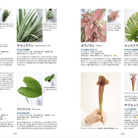 東京植物図譜の花図鑑1000