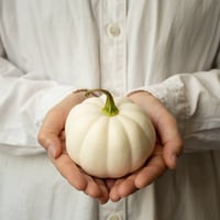 カボチャ「プチホワイト」