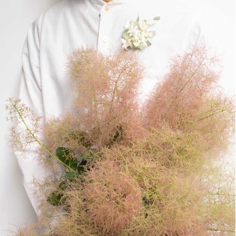 feltico×東京植物図譜「フランネルフラワーのブローチとスモークツリー」