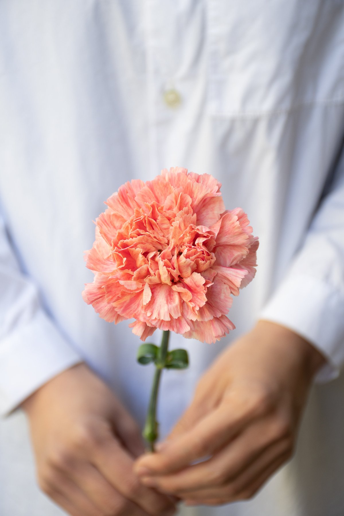 木彫り　花と孔雀　アプリコットプレート 木彫り 花と孔雀 アプリコットプレート 木彫り 花と孔雀 アプリコット