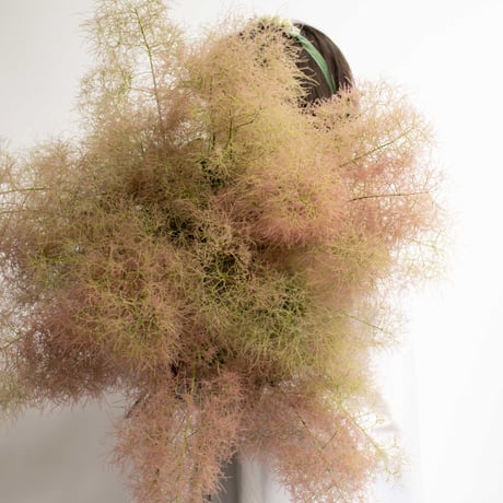 feltico×東京植物図譜「白詰草の首飾りとスモークツリー」