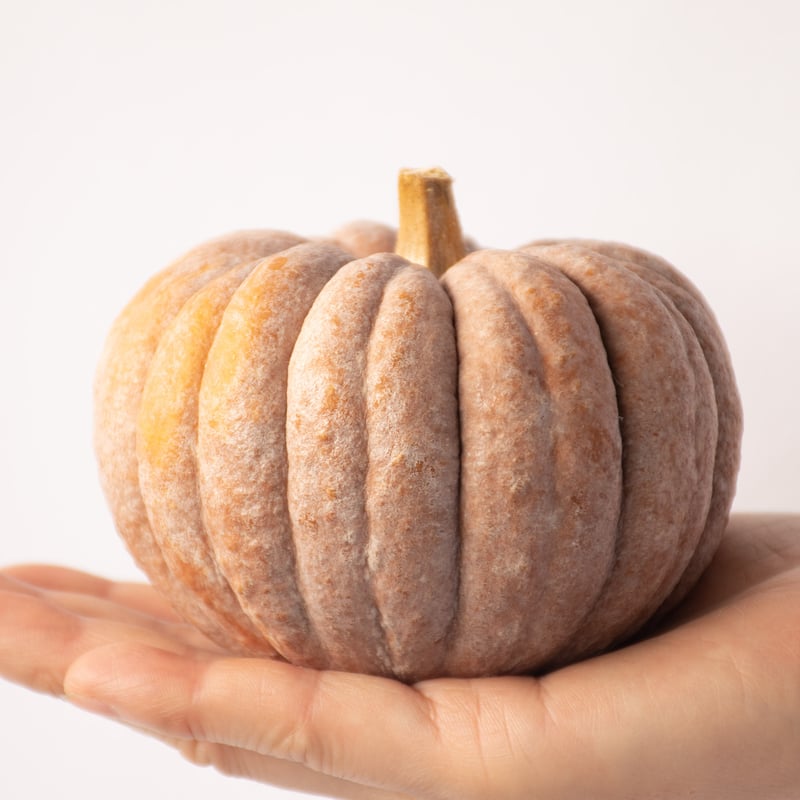 カボチャ「ジェームス」 | tokyo_shokubutsu_zufu