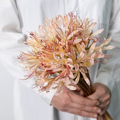 紫色の房つき実　カラスウリ　烏瓜　リース　観葉　無農薬　リース　ハロウィン 紫色の房つき実 カラスウリ 烏瓜 リース 観葉 無農薬 リース