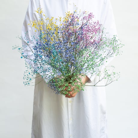 CATEGORY ドライフラワー | tokyo_shokubutsu_zufu