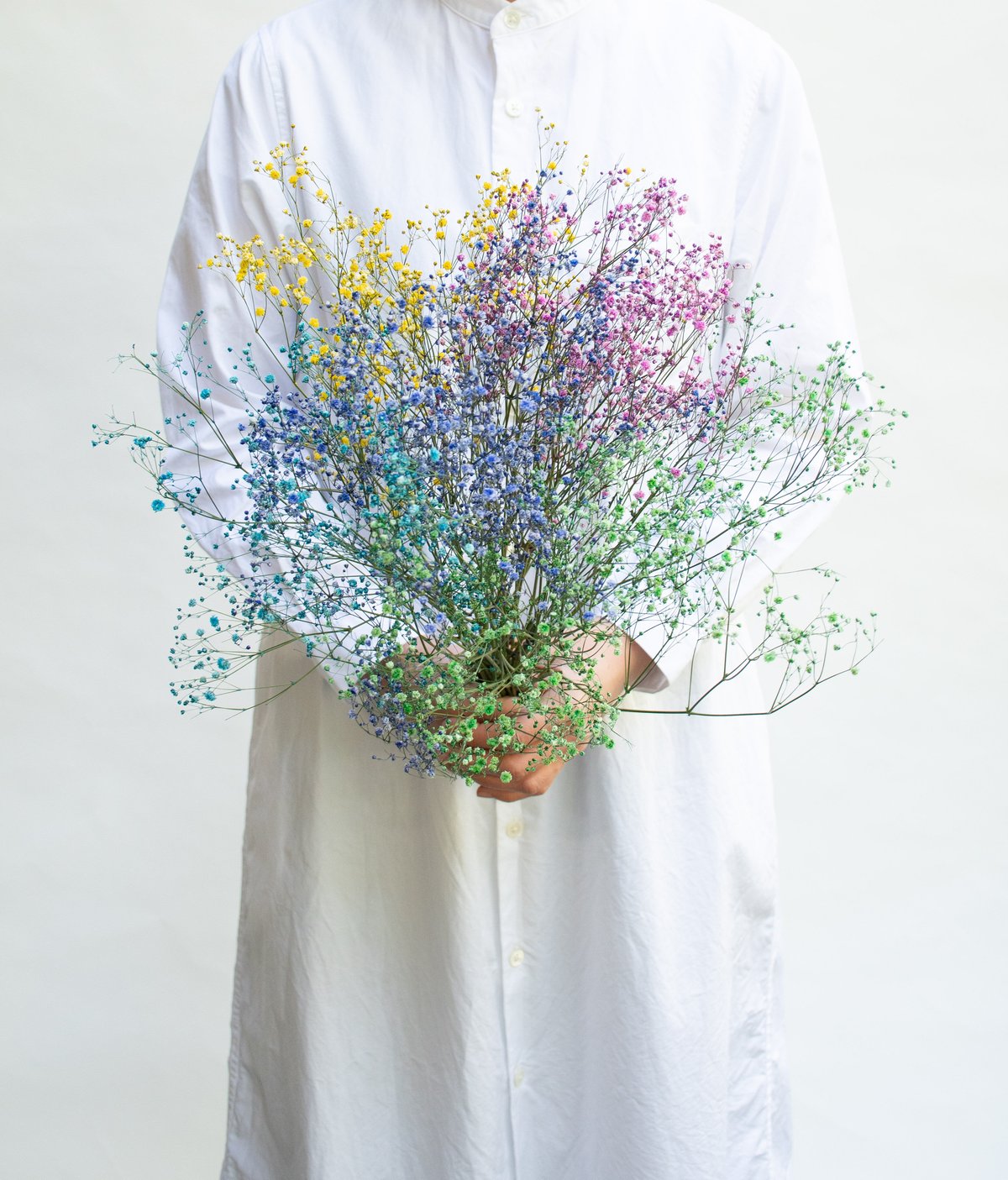 ドライフラワー「カスミソウ染め」 | tokyo_shokubutsu_zufu