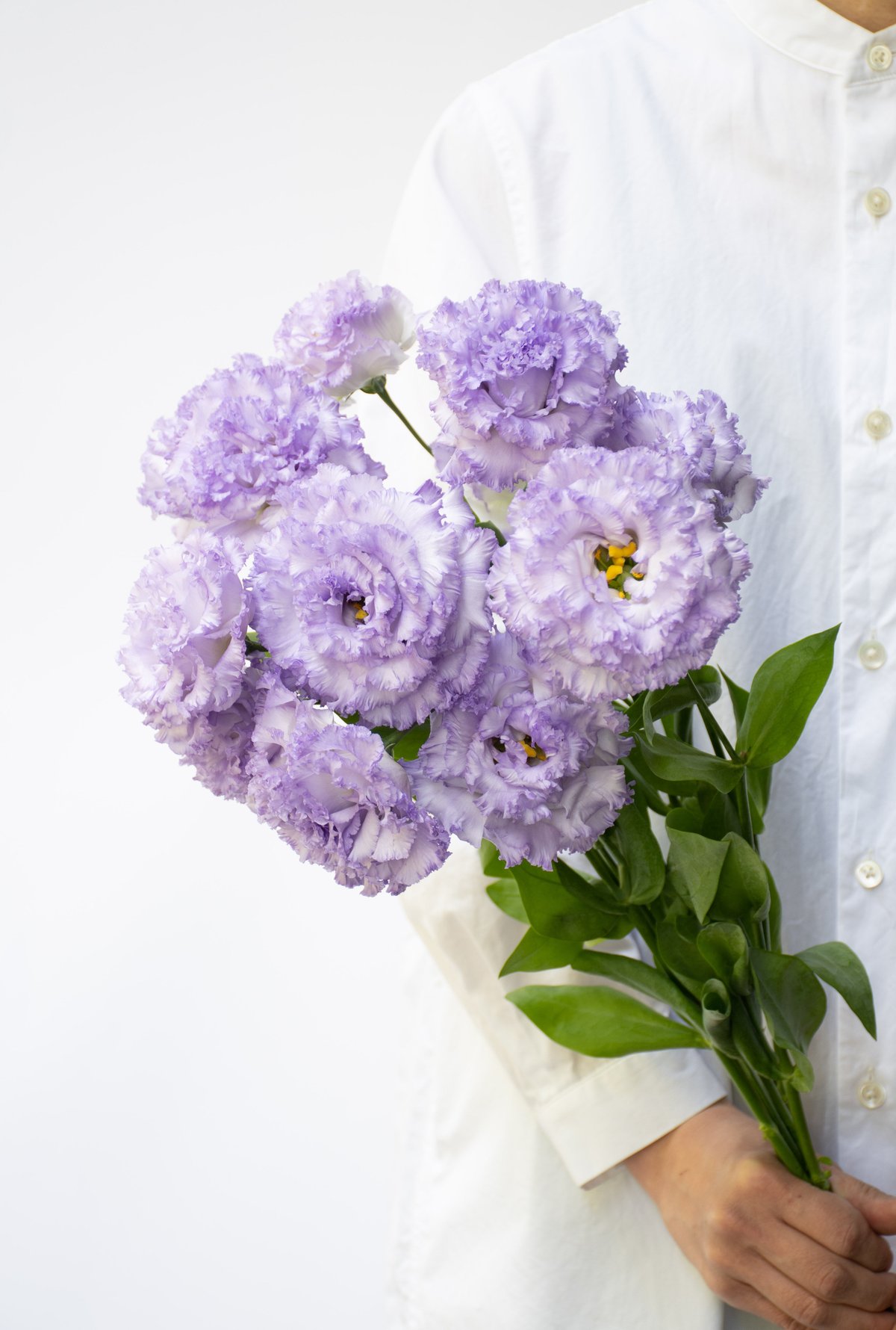 トルコキキョウ「NFラベンダー」 | tokyo_shokubutsu_zufu