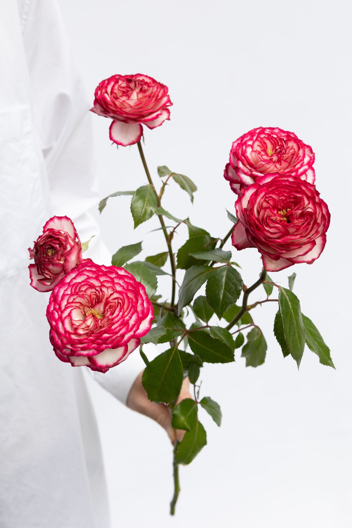 fit=scale-down,w=1200