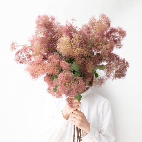 feltico×東京植物図譜「ラナンキュラスとムスカリのブローチとスモークツリー」