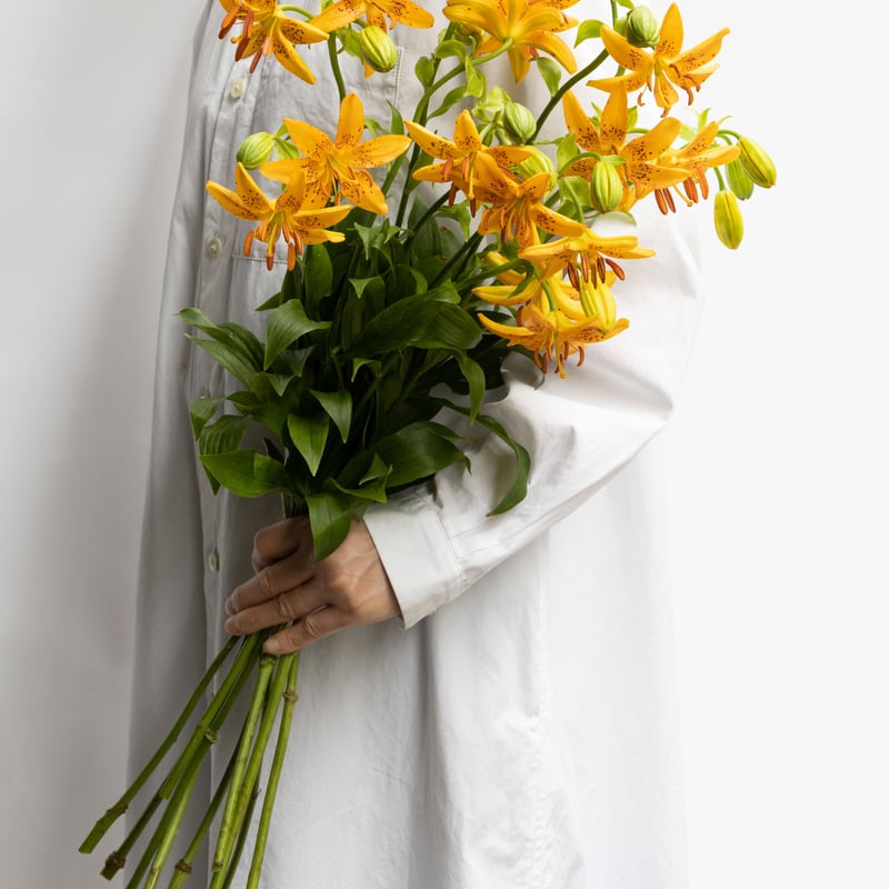 ユリ「竹島ユリ」 | tokyo_shokubutsu_zufu