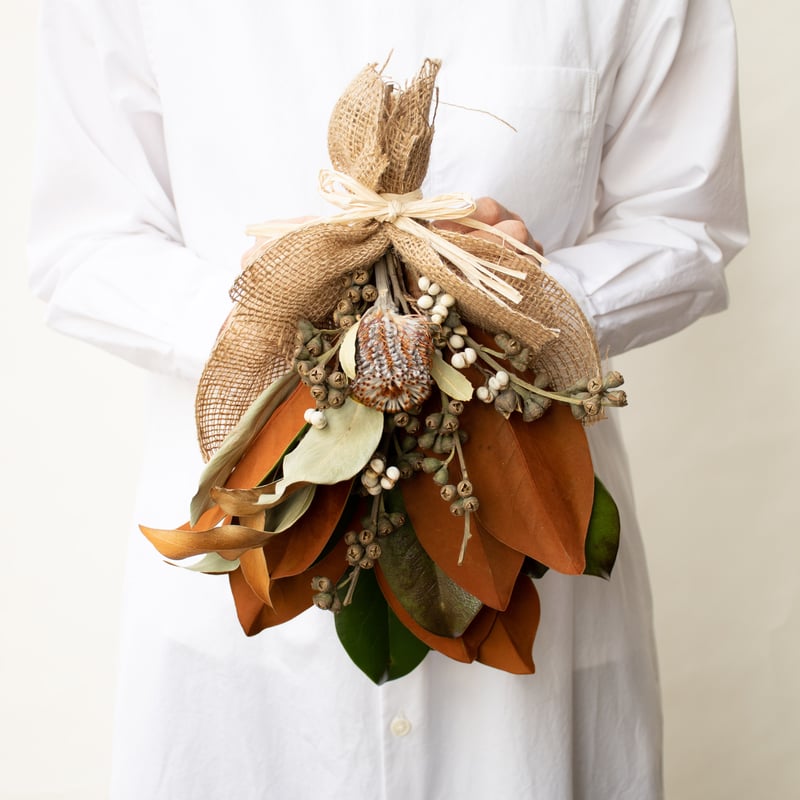 マグノリア | tokyo_shokubutsu_zufu