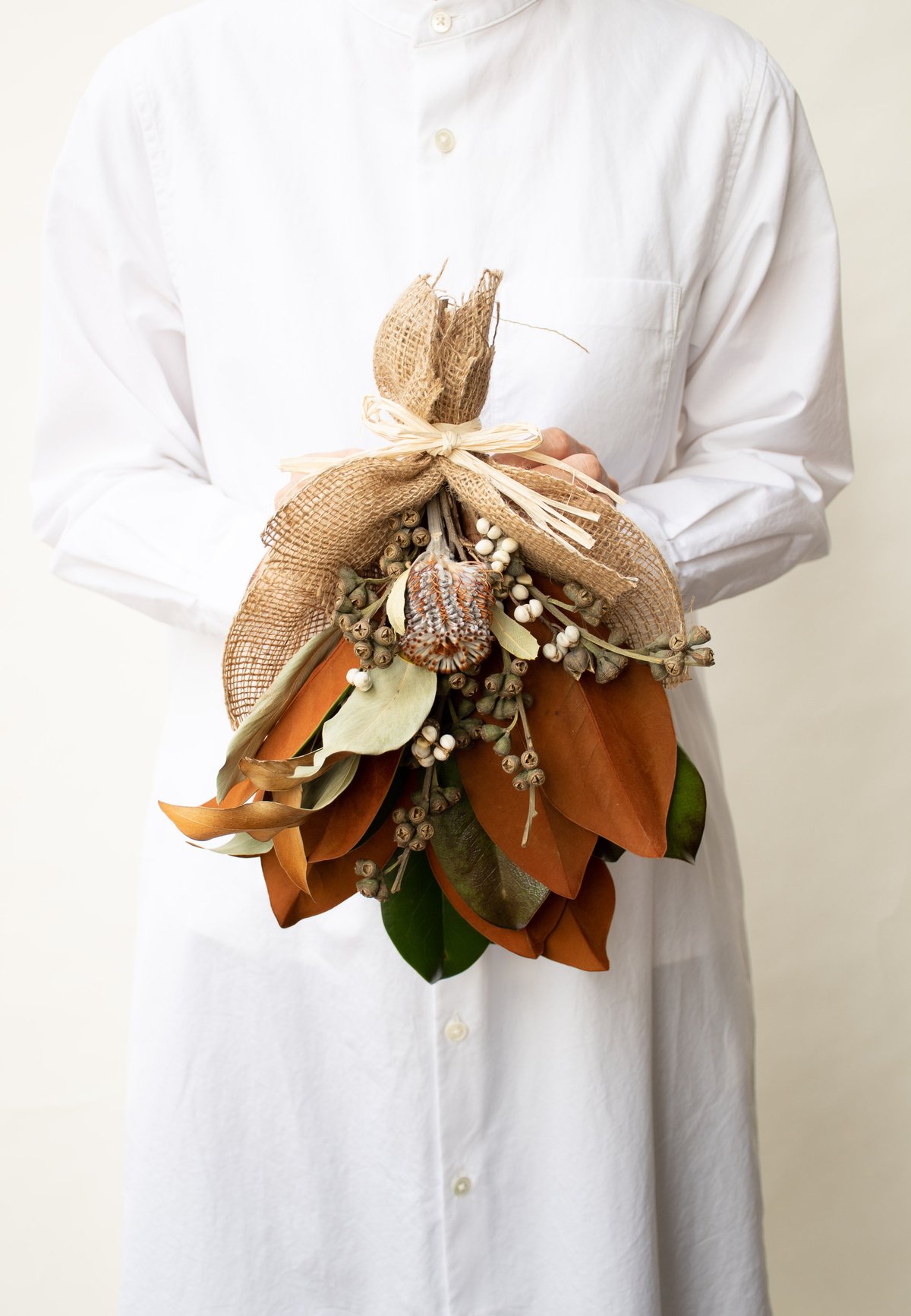 マグノリア | tokyo_shokubutsu_zufu