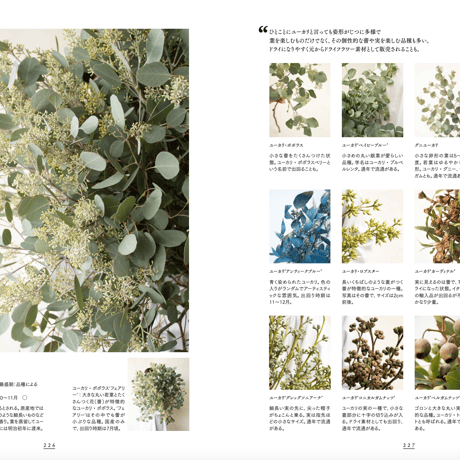 東京植物図譜の花図鑑1000