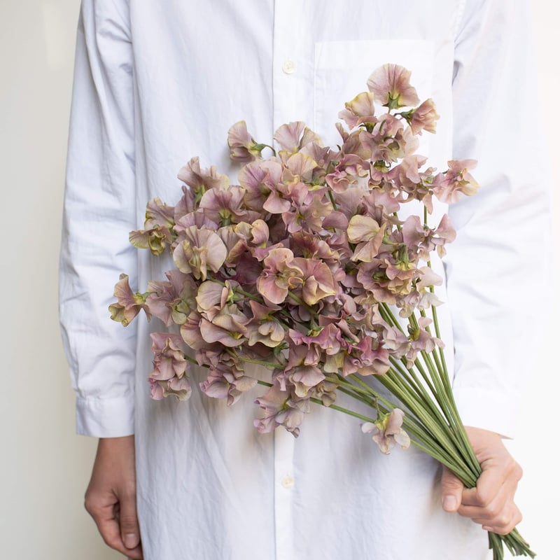 アンティーク ソサイエティシルク手刺繍 スィートピー 菫 スカラップドイリー アンティーク ソサイエティシルク手刺繍 スィートピー 菫