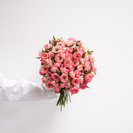 SPバラ「ころころミックス」