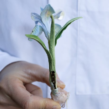 feltico×東京植物図譜「アイリスのブローチ＋球根ミックス」