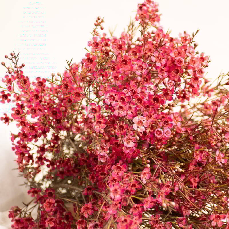 壷と花 s-l400.jpg